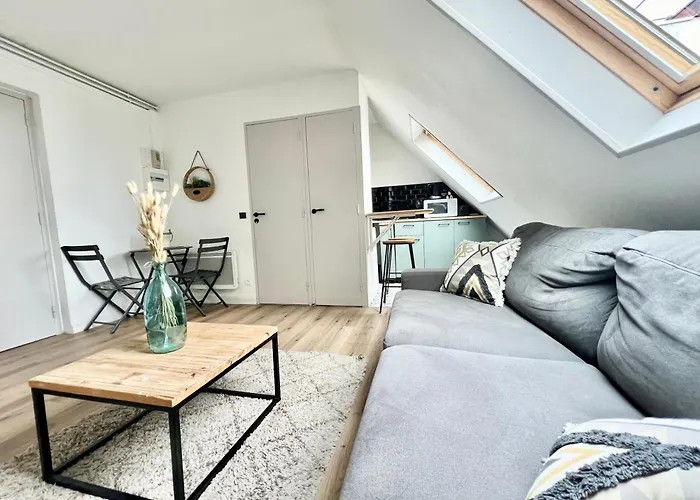 Appartement Vue Mer - A 50M De La Plage Des Minimes - Grand Jardin - Parking Gratuit